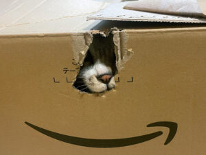 アマゾンの箱から顔を出す猫